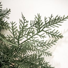Guirlande Cipres 270 cm