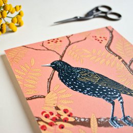 Square postcard Star