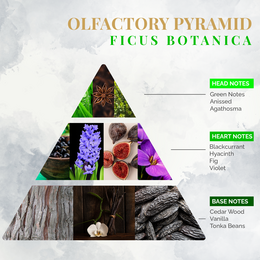 Fragrance for Environment Ficus Botany Spray 75ml