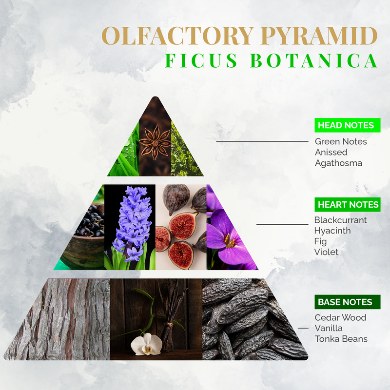 Fragrance for Environment Ficus Botany Spray 75ml