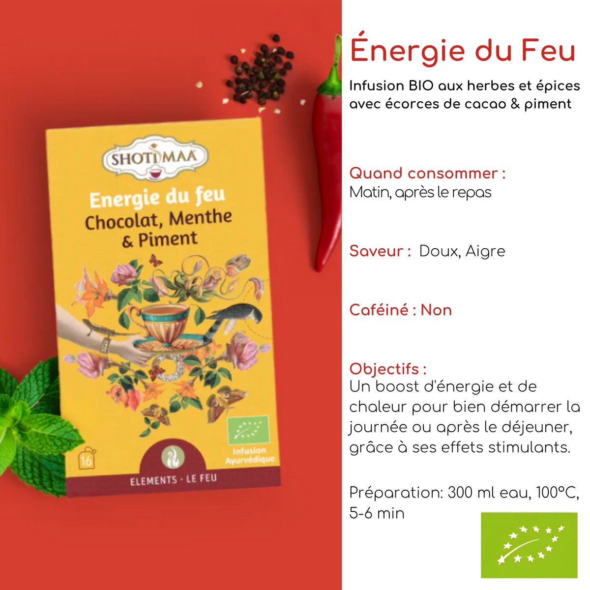Premium-Zutaten für Bio-Kräutertee – Wohlfühlaufgüsse Feuerenergie für Ausgeglichenheit und Vitalität – Schokolade, Minze und Chili