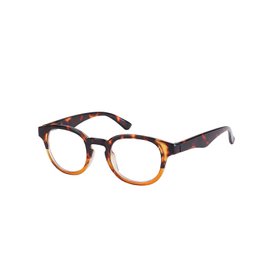 24 Lunettes Loupe de Lecture - +2.00