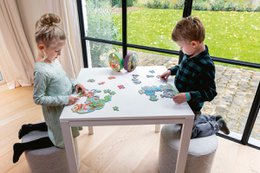 Contour Puzzel - Draken