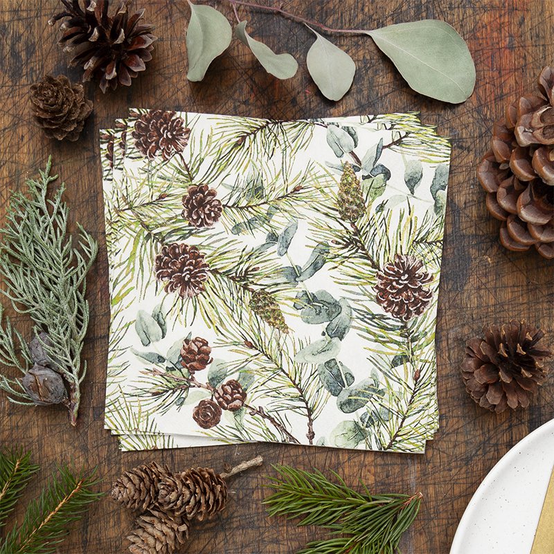 Eukalyptus und Kiefern mit Mittagspause