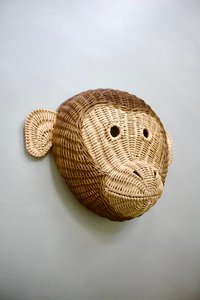 Murphy the Monkey
