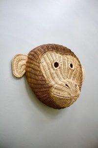 Murphy the Monkey