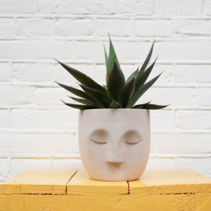 Unique Handcrafted Ceramic Face Planters Natural Clay And Glazes - Patty Plant Pot Sand