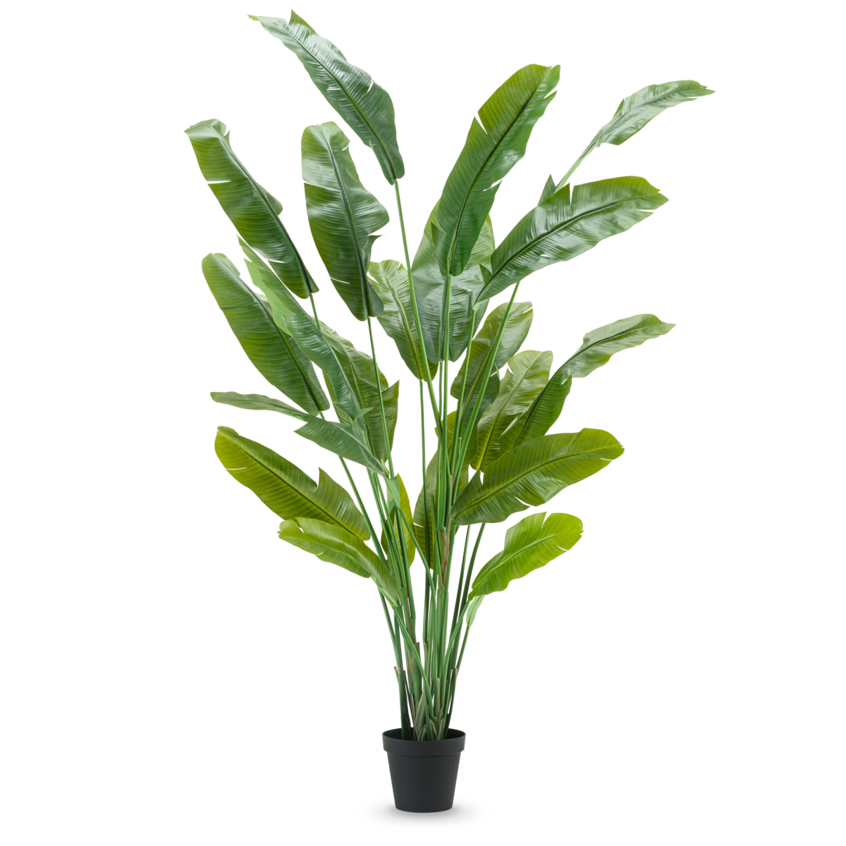 Kunstpflanze Strelitzia Nicolai Deluxe 235 cm