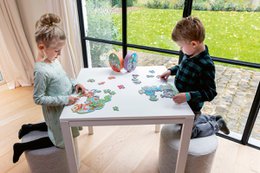 Contour Puzzel - Draken