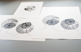 Sisaret – screen print