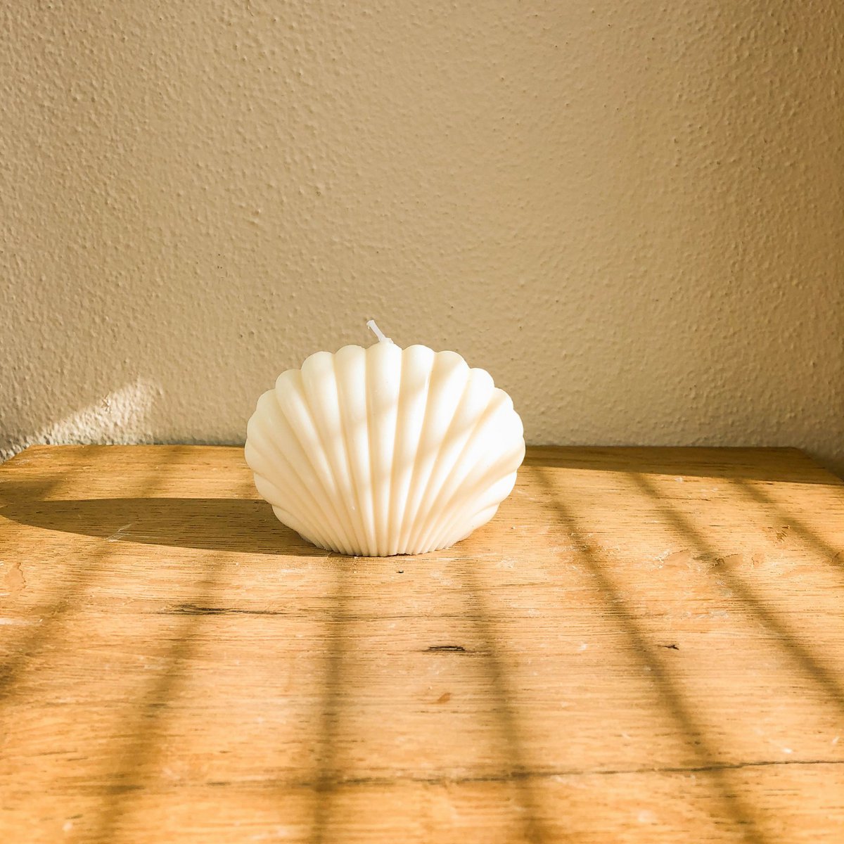 Muschelkerze