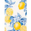 Duurzame kaart lemons