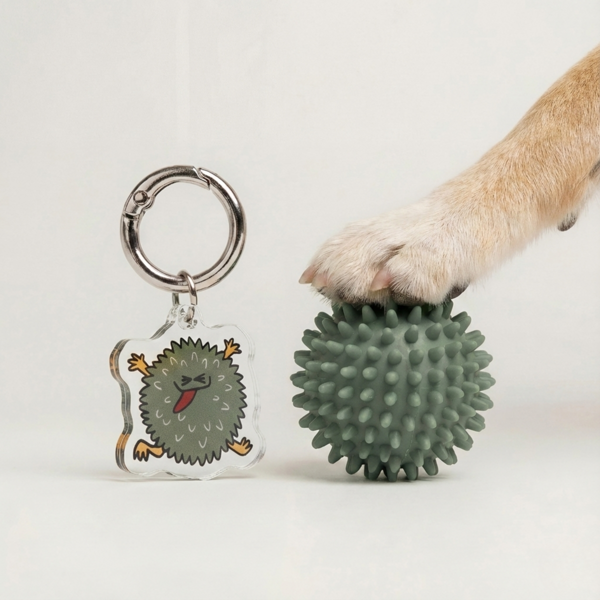 Le charme du chien fauteur de troubles