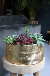 SIZO Paper Bag Gold with waterproof biodegradable liner