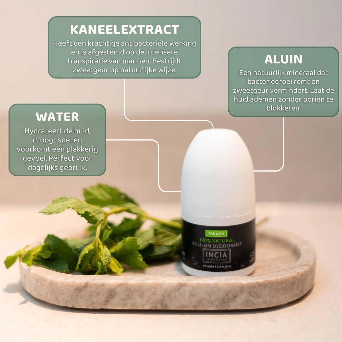 INCIA Natürliches Deodorant für Männer