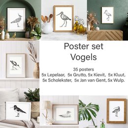 Wad Anders Post