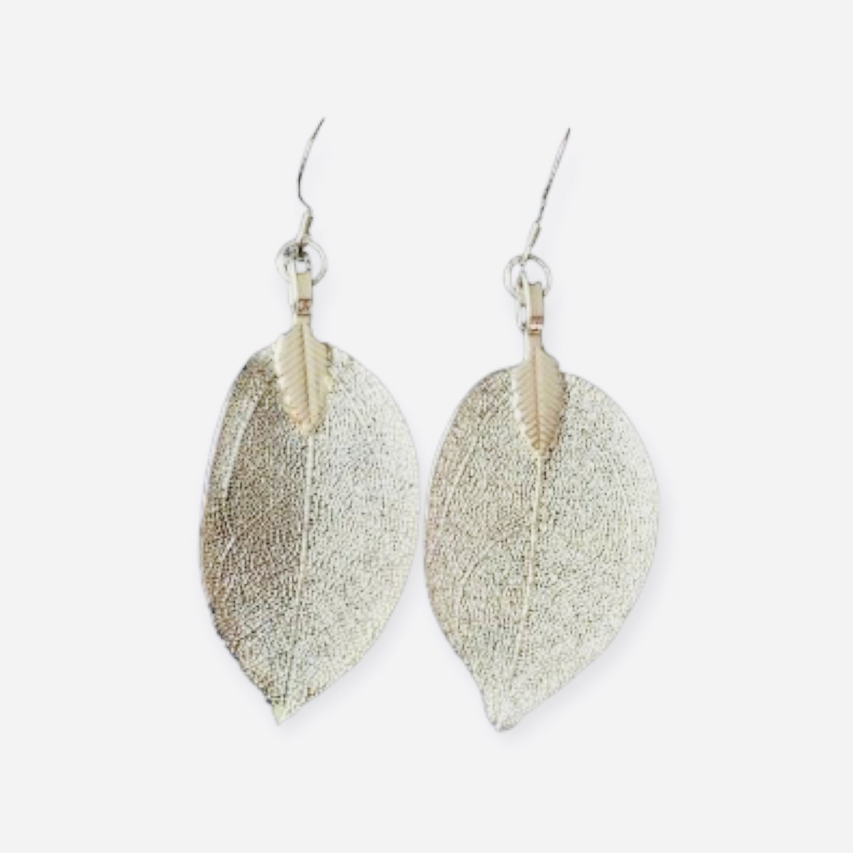 Ohrring Eukalyptusblatt Silber