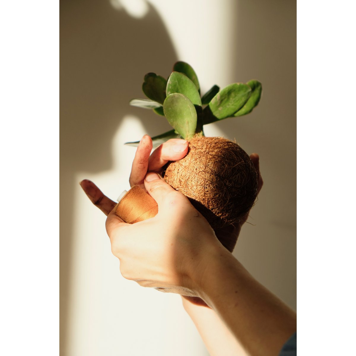 Zestaw DIY Kokedami