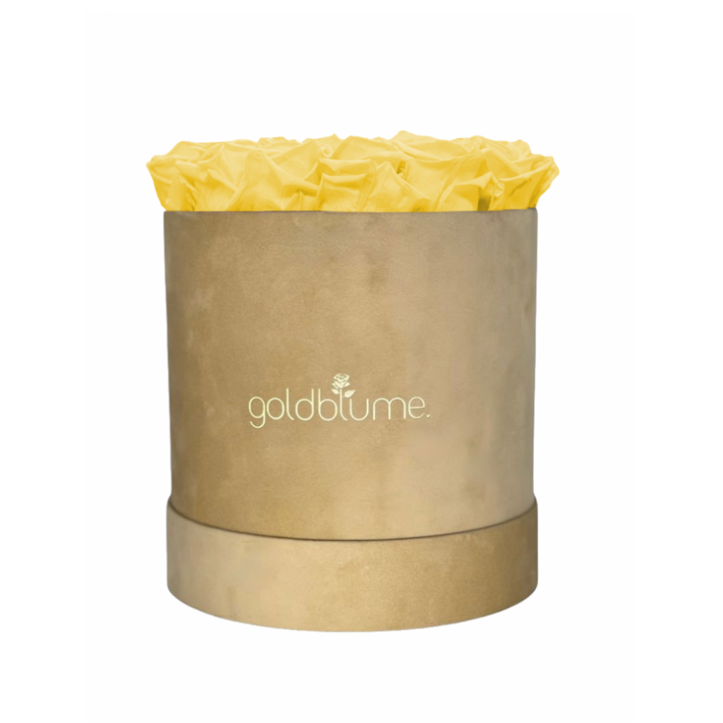 Colección Terciopelo Beige