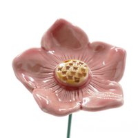 Petunie groß Rosa 5 cm