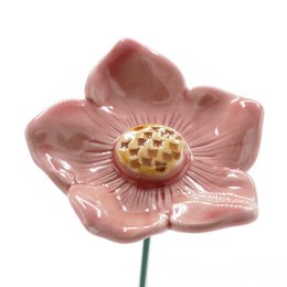 Petunie groß Rosa 5 cm