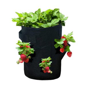 Aardbeien kweekzak 27 liter
