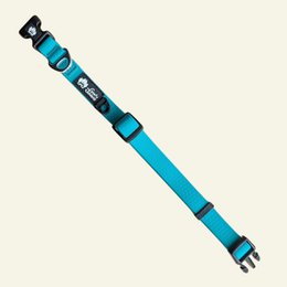 Collier imperméable Bleu paon