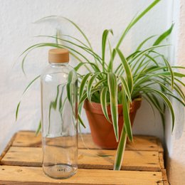 REN 1,0 liters glasflaske