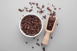 Ceremonial Cacao Nibs | Raw Organic Criollo Cacao (8 pieces)
