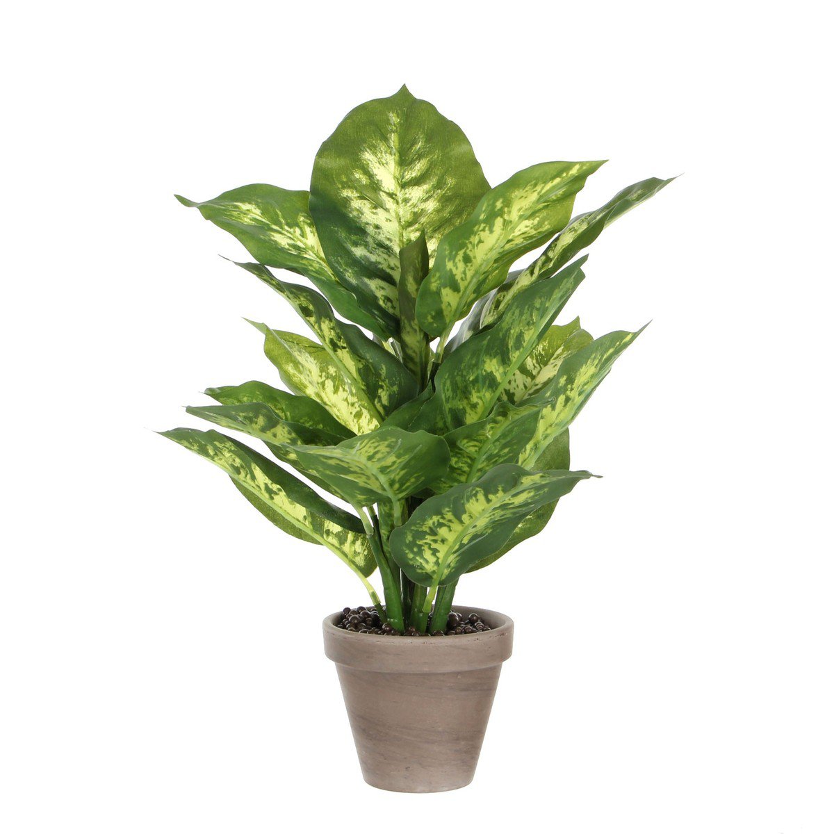 Kunstplant Dieffenbachia Groen
