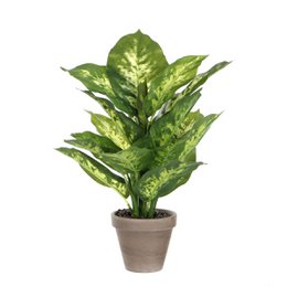 Kunstplant Dieffenbachia Groen