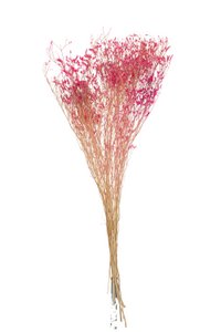 J-Line Bundel Gedroogde Gypsophilia Fuchsia