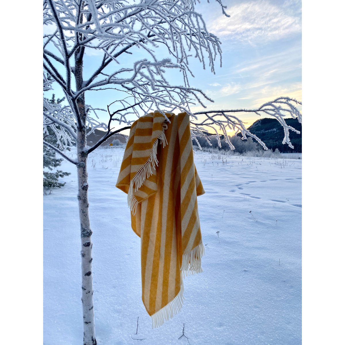 Manta ligera de pura lana noruega en amarillo Filip