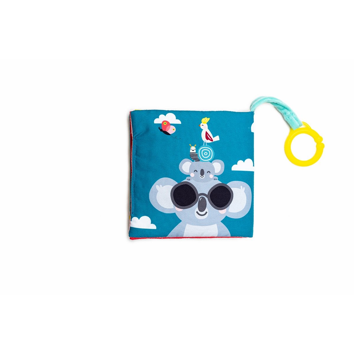 WHERE IS JOEY BOOK