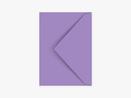 Umschlag / Summer Lilac