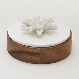 OKO houten en porseleinen doos