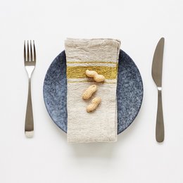 Mustard Stripe Vintage Linen Napkins Set of 2