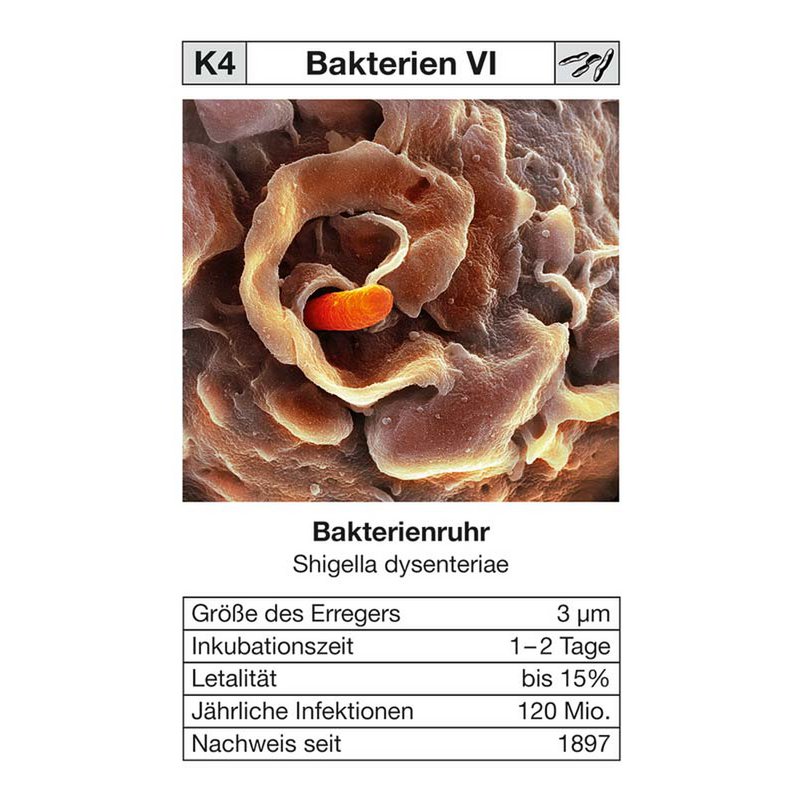 Quartet "Seuchen 2" - now with the current COVID-19 additional card