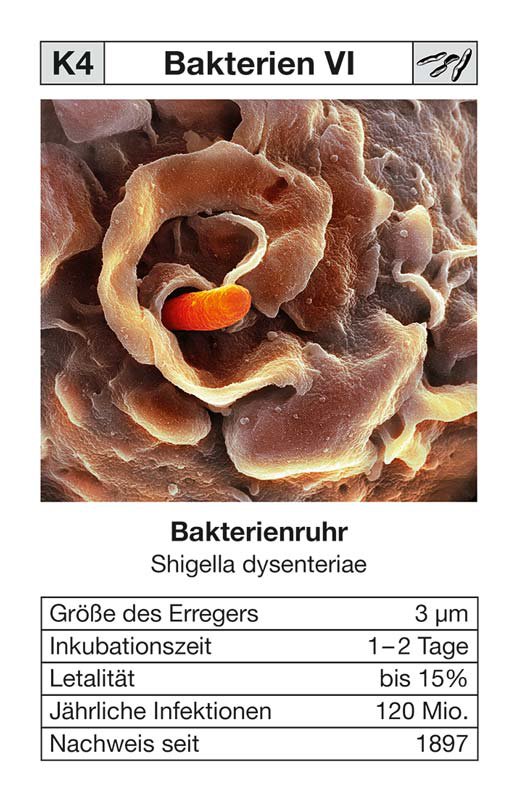 Quartett "Seuchen 2" - jetzt mit aktueller COVID-19 Zusatzkarte