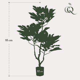 Art Plant - Ficus Carica - Figen Tree - 95 cm