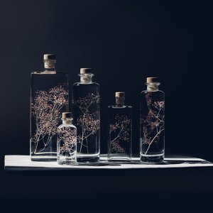 The Herbarium - submerged plant Pink Gypsophila