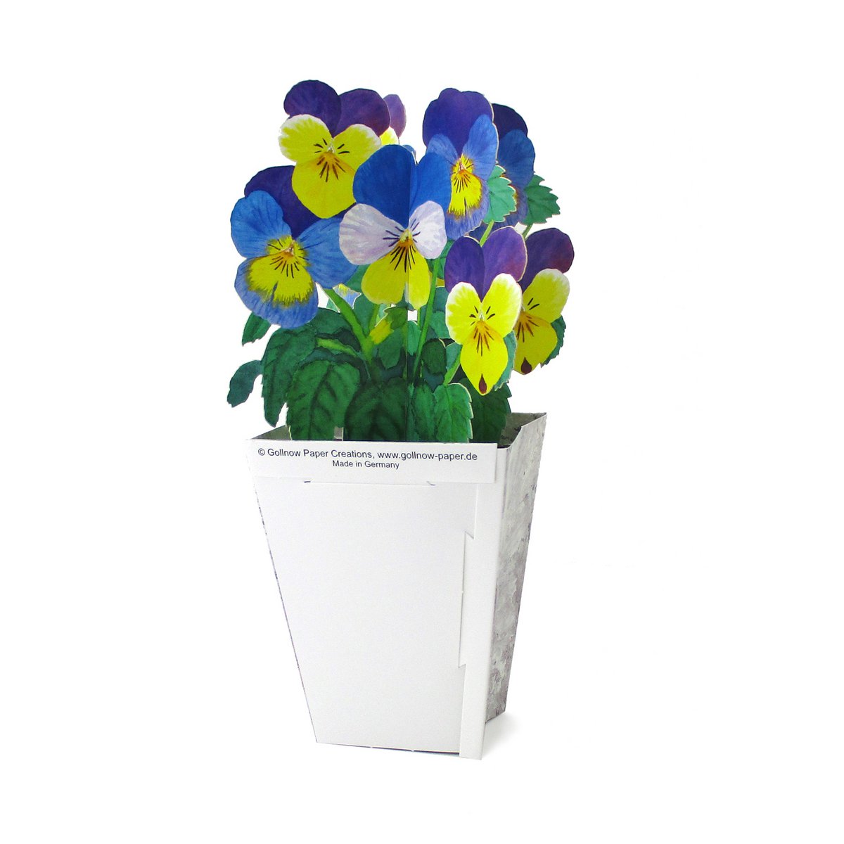 3D-Blumenkarte Stiefmütterchen