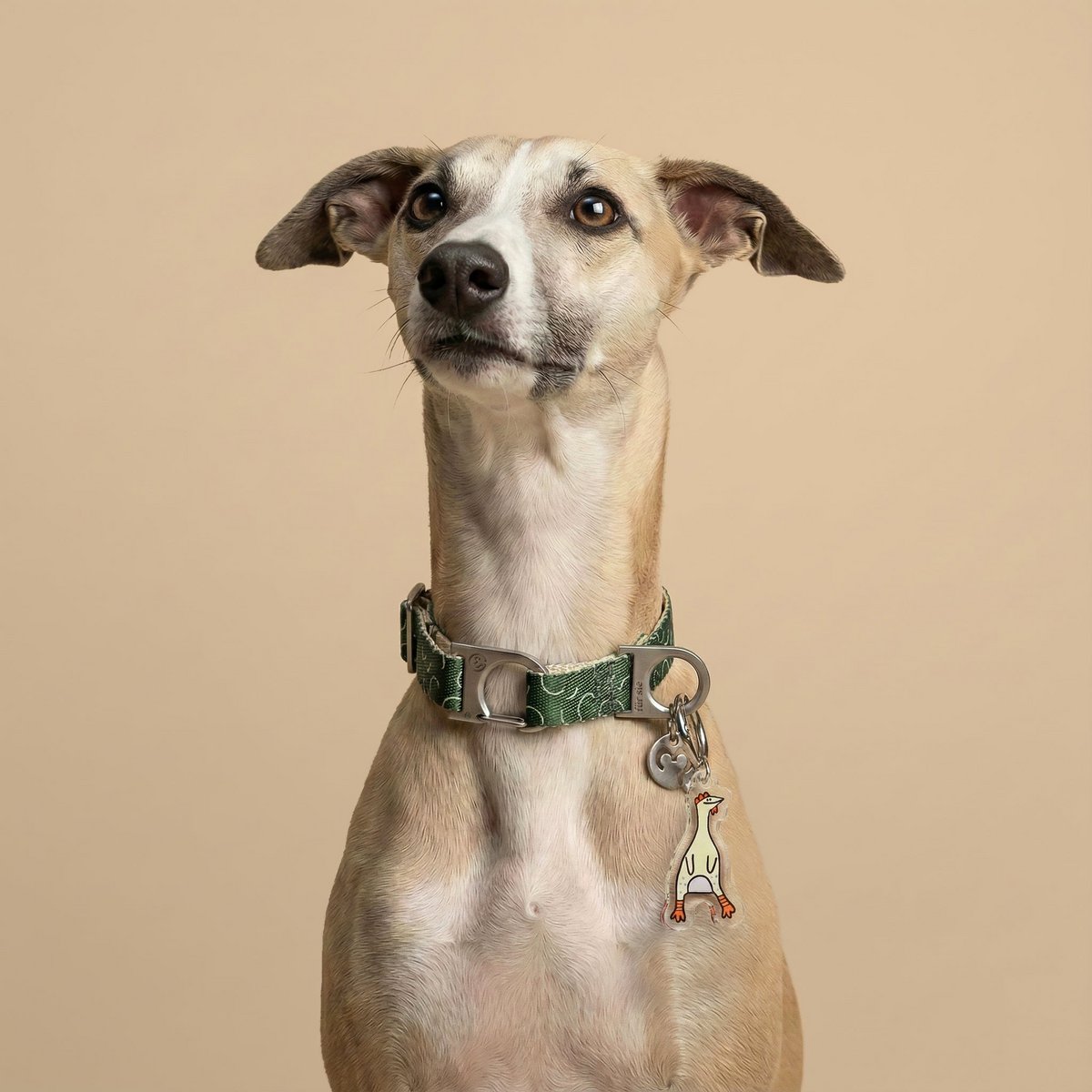 De Bestie Dog-bedel