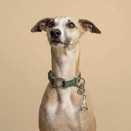 Bestie Dog Charm