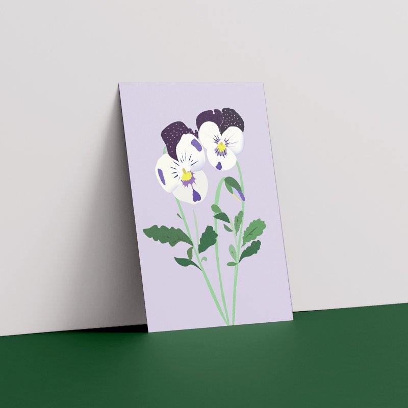 Floral Postcard - Pansy