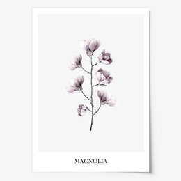 Poster: Magnolia