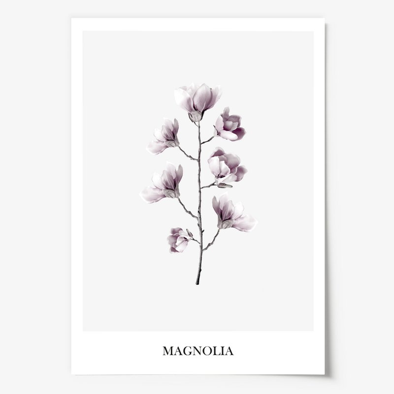 Poster: Magnolia