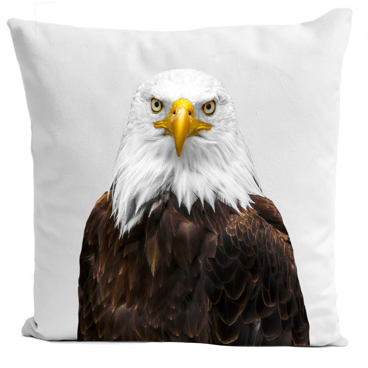 Eagle kussen, Mr. Eagle