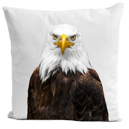 Decorative cushion featuring a majestic bald eagle with its piercing gaze. Available in two sizes, 60x60cm and 40x40cm, in a crisp white color.
