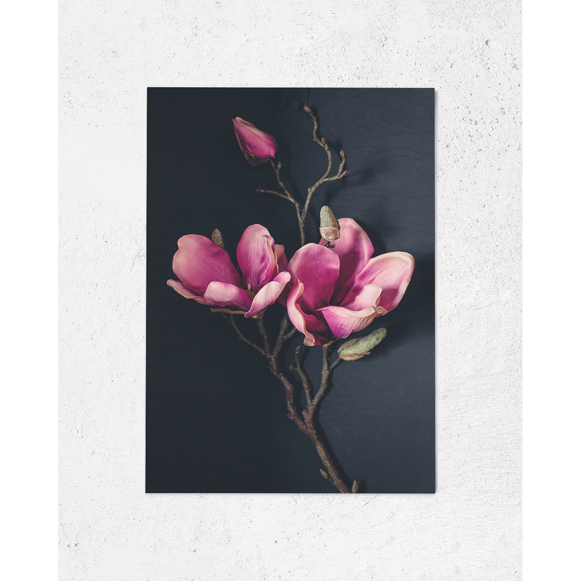 Ansichtkaart Wenskaart Donker Magnolia (PK_062)